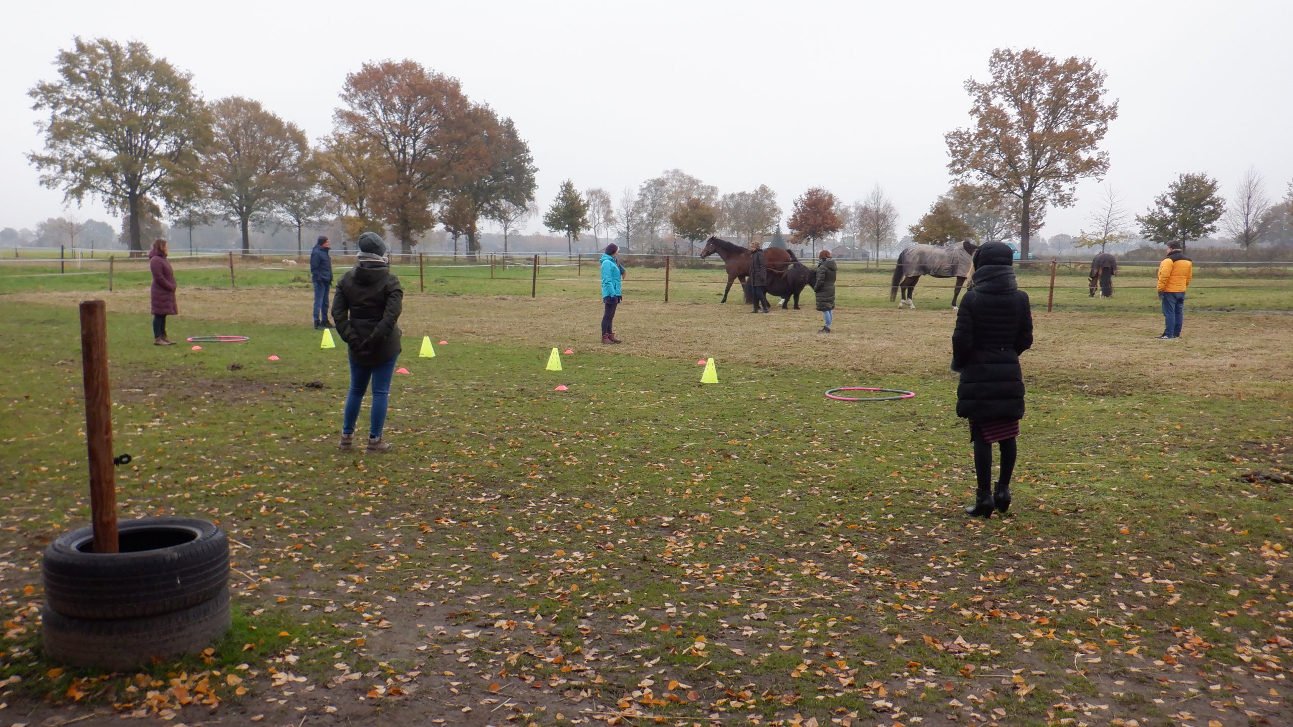 AMARANT, LEERCENTRUM temcoaching