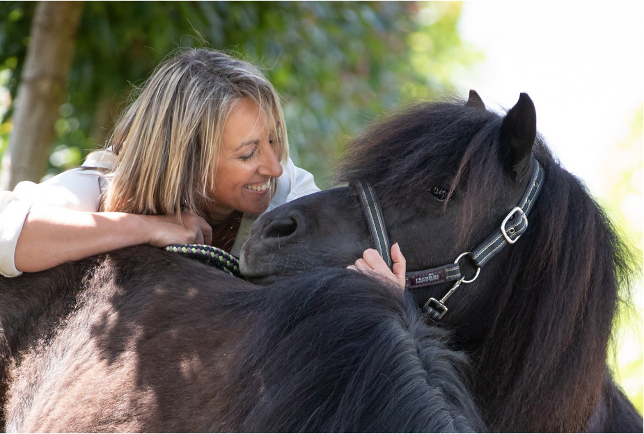 INDIVIDUELE PAARDENCOACHING