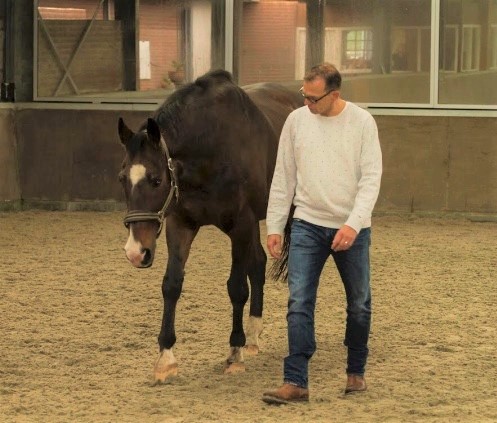 2 Shetlandpony Pim Naomi